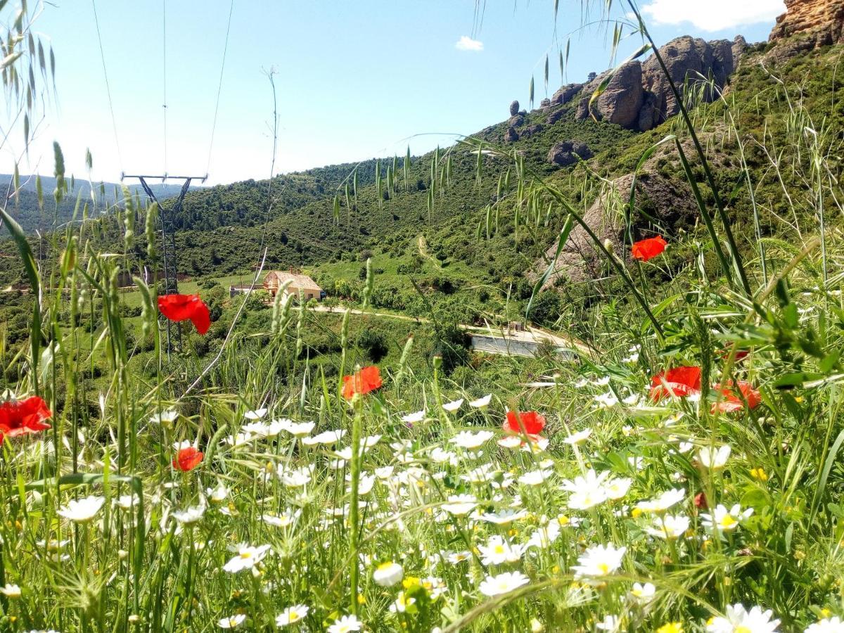 villa Garibaldi Agüero Dış mekan fotoğraf